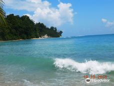 Sitapur Beach-尼尔岛
