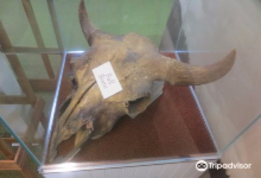 Cassia County Historical Society景点图片