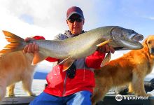 Granby Bait N Tackle购物图片