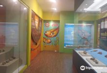 杨口史前博物馆景点图片