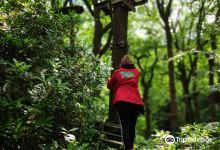 Parc des Grands Chenes景点图片