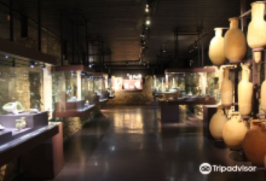 Musee Romain景点图片