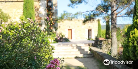 Jardin de l'Abbaye de Valsaintes