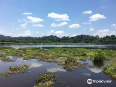 Crocodile Lake-Dong Nai