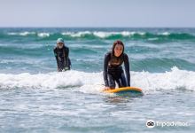 Halifax Surf School购物图片
