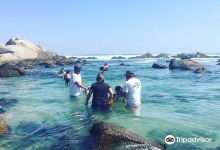 Playa Las Conchitas景点图片