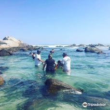 Playa Las Conchitas-Tierras de Cantalejo y Santa Maria la Real de Nieva