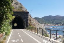 Cicli Lapucci购物图片