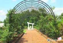 Wilson Rose Garden景点图片