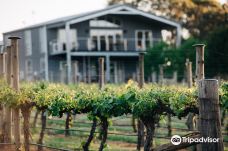 Mortimers Wines-奥兰治