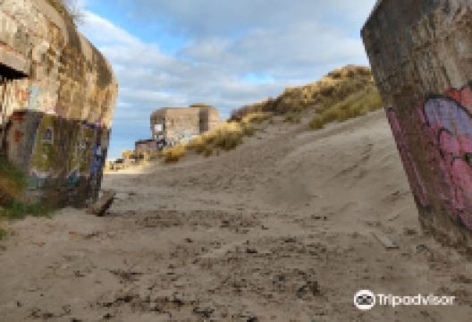 Dune Dewulf景点图片