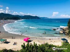 伊豆白滨海岸-下田市