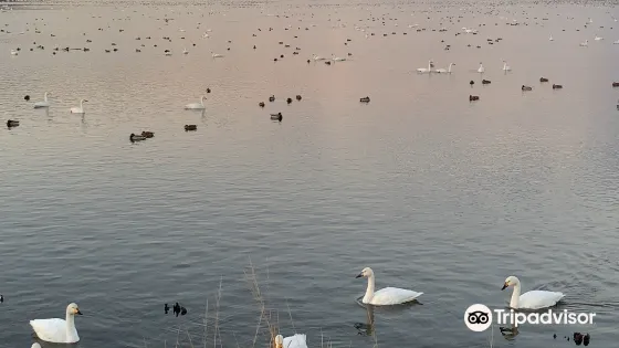 佐潟公園
