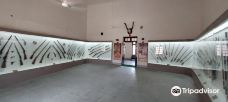 Ganga Singh Museum-比卡内尔