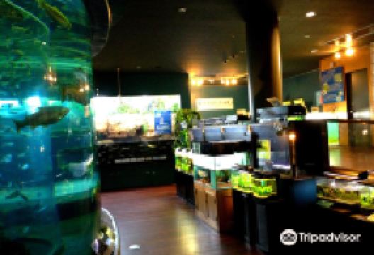 富士涌水之里水族馆（森林水族馆）景点图片