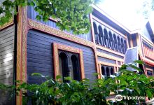 Musee Roybet Fould景点图片