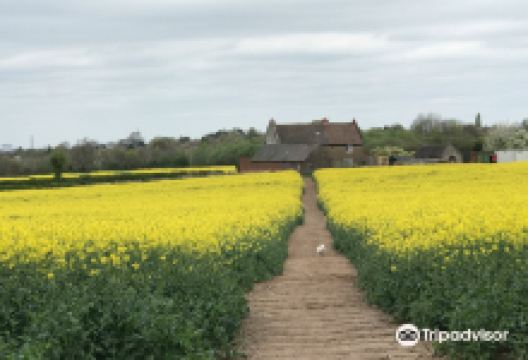 The Outwoods景点图片