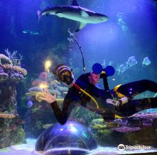 Shreveport Aquarium-博西尔城