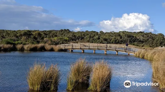 Coogoorah Park Nature Reserve
