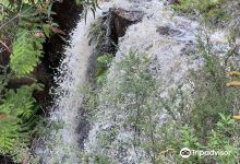 Currawong Falls景点图片