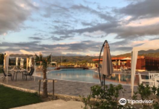 Family Time景点图片