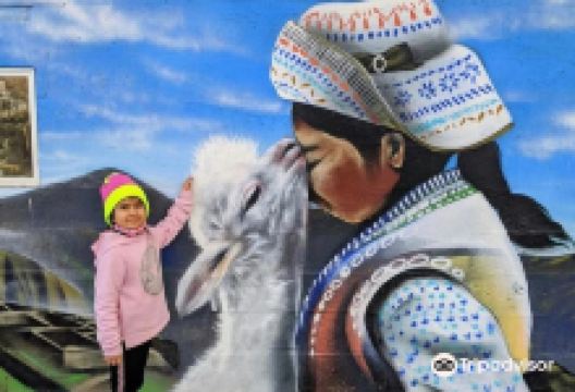 Sopris Alpaca Farm景点图片