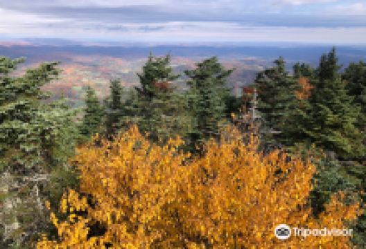 Ascutney State Park景点图片