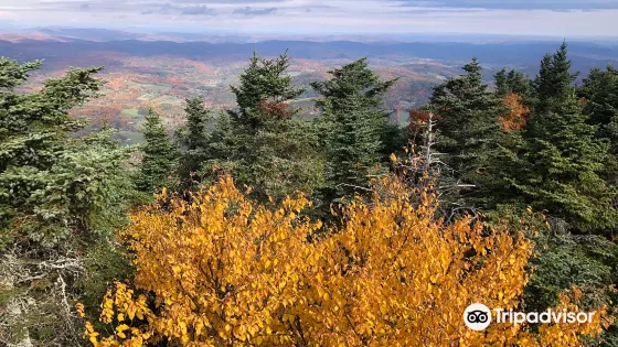 Ascutney State Park