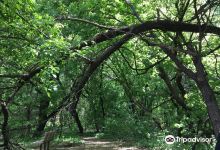 Wood Lake Nature Center景点图片
