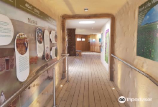 The National Trust for Jersey Wetland Centre景点图片