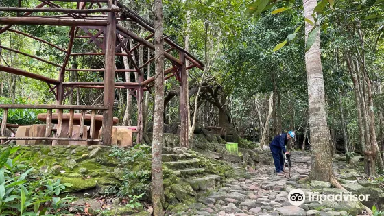 Tranh Stream