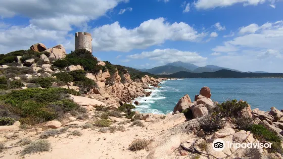 Plage de Furnellu