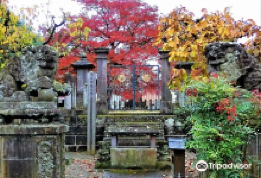 阿弥陀寺景点图片