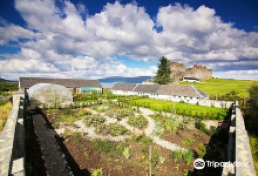 Duart Castle景点图片