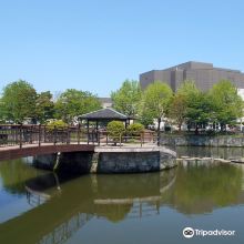 鸟栖市图片