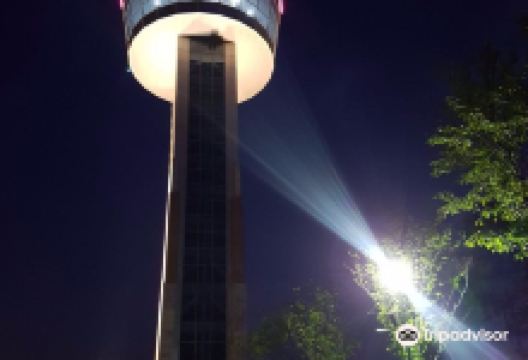 Ulsan Bridge Observatory景点图片