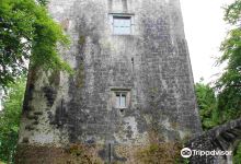 Dunsandle Castle and Woods景点图片