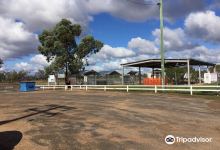 PILLIGA ARTESIAN BORE BATH景点图片