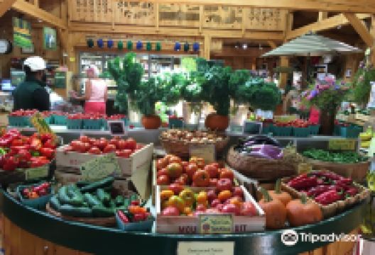 Morning Glory Farm景点图片