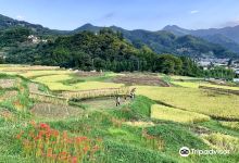 寺坂棚田景点图片