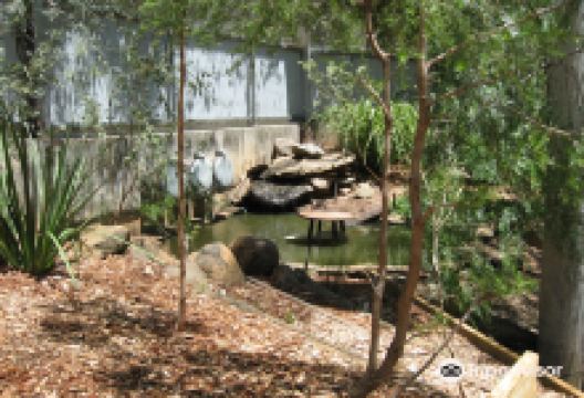 Tamworth Marsupial Park景点图片
