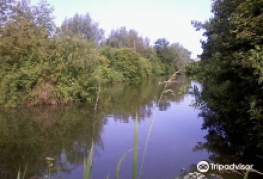 Fennes Fisheries景点图片