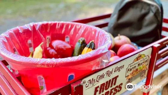 Brecknock Orchard