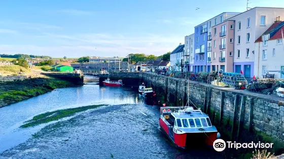 St Andrews Harbour Trust