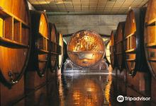 Bodegas Escorihuela Gascon景点图片