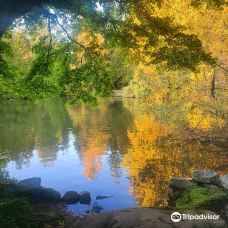 中央公园-本那比