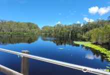 Urunga Wetlands Boardwalk景点图片