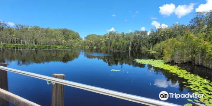Urunga Wetlands Boardwalk