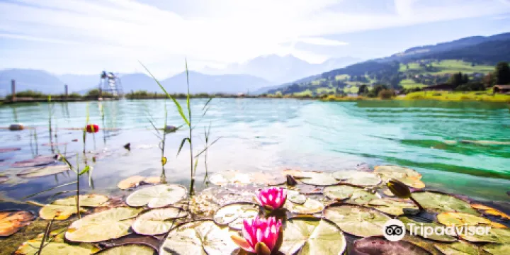Combloux Ecological Moutain Lake