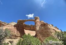 Rattlesnake Canyon景点图片